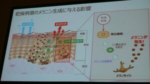 資生堂の記者発表会