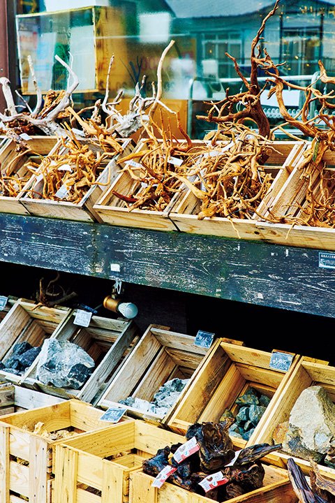 流木や石などアクアリウムのディスプレイ素材