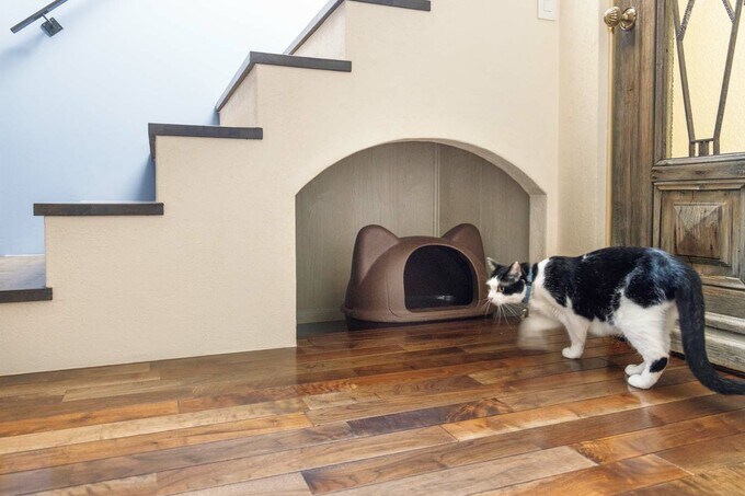 ネコ用トイレは階段下に