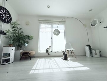 「片付けてもすぐ散らかる…」そんな人に。プロが教える、家がキレイになる“たった1つの考え方”