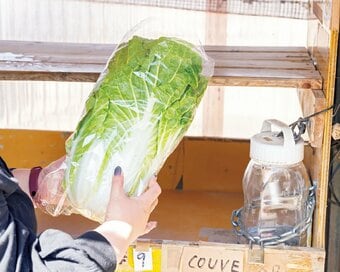 43歳、平屋でひとり暮らし。「1か月14万円以下の支出」でゆるく楽しい節約ライフ