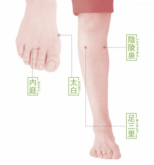 4つの足のツボを指し示す写真