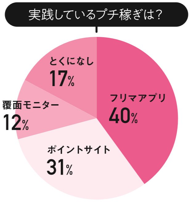 円グラフ実践しているプチ稼ぎ