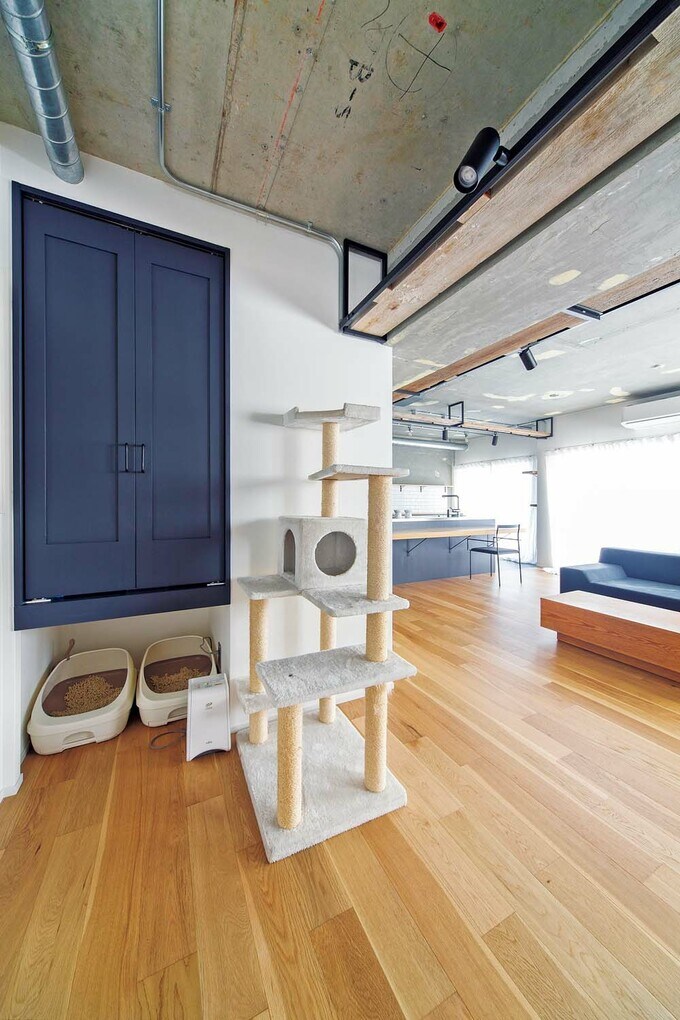 ネコトイレ置き場