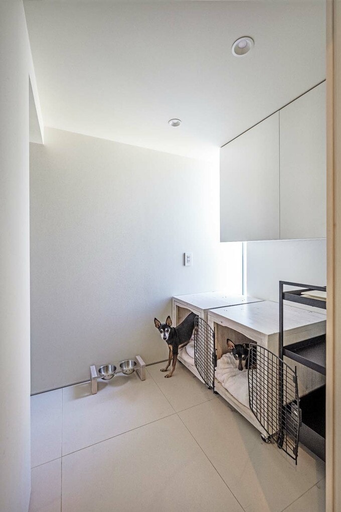 ワンコ専用ルーム