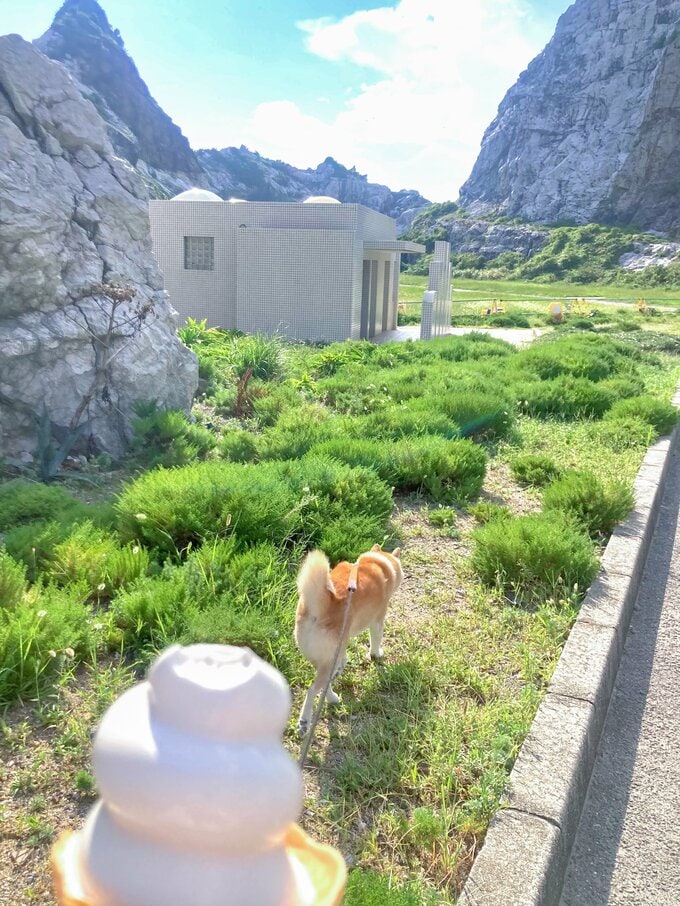 道の駅のソフトクリームうまかった