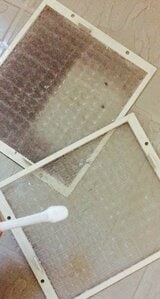 古歯ブラシでさささっとこする