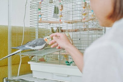 50代、病気をきっかけに変えた「ラク家事」6つ。家電に頼り、ふき掃除も毎日やらない