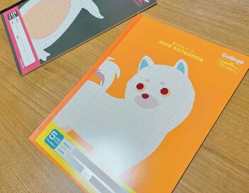 急な「ノートがなくなった」という小学生あるあるなお悩みを解決。コストコ大好き主婦が見つけた格安セット