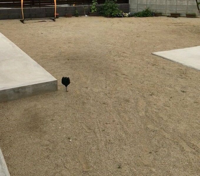 殺風景な砂地の庭