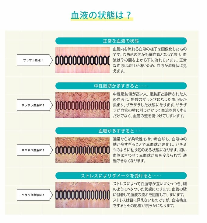 血液の状態