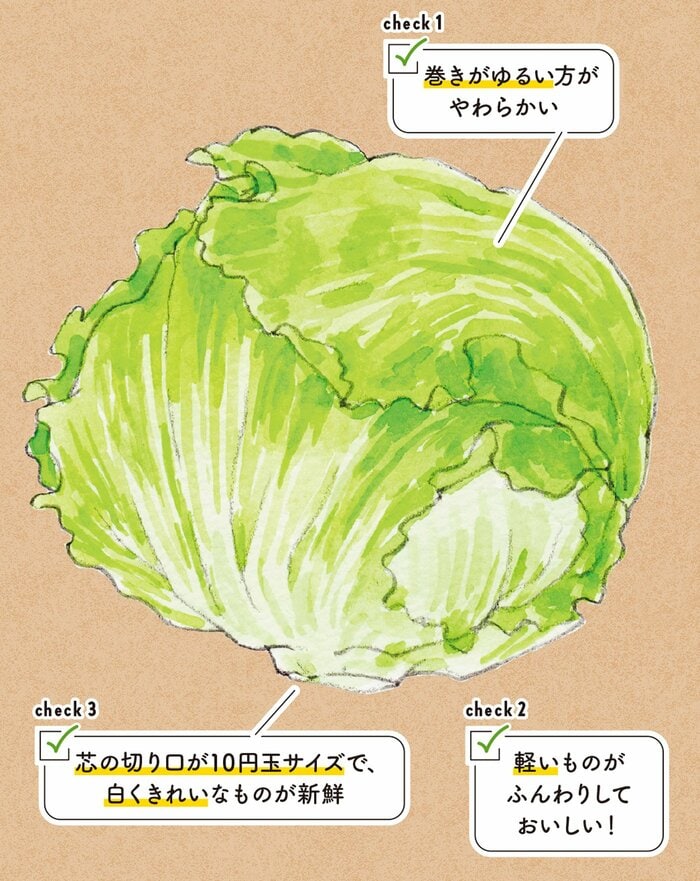 しなしなの「レタス」がシャキシャキになるコツ。水分が抜けてもひと
