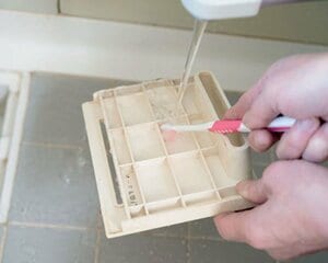 髪の毛を取って、フタを歯ブラシでこする