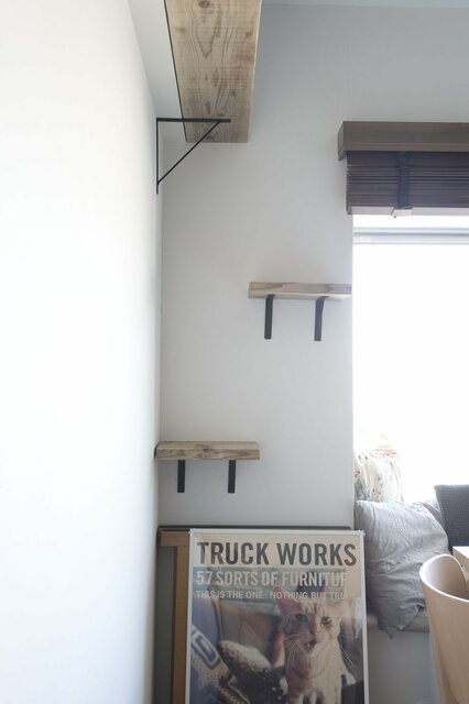 遊び場とインテリアが一体化！姉妹ネコ2匹が仲良く暮らせる家のヒミツは…