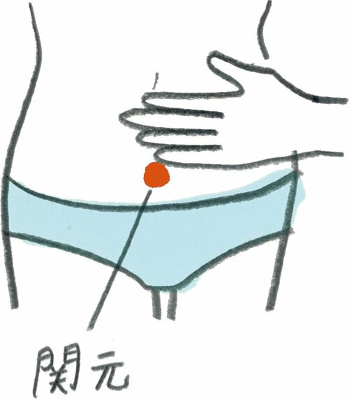 イラストおへそ下