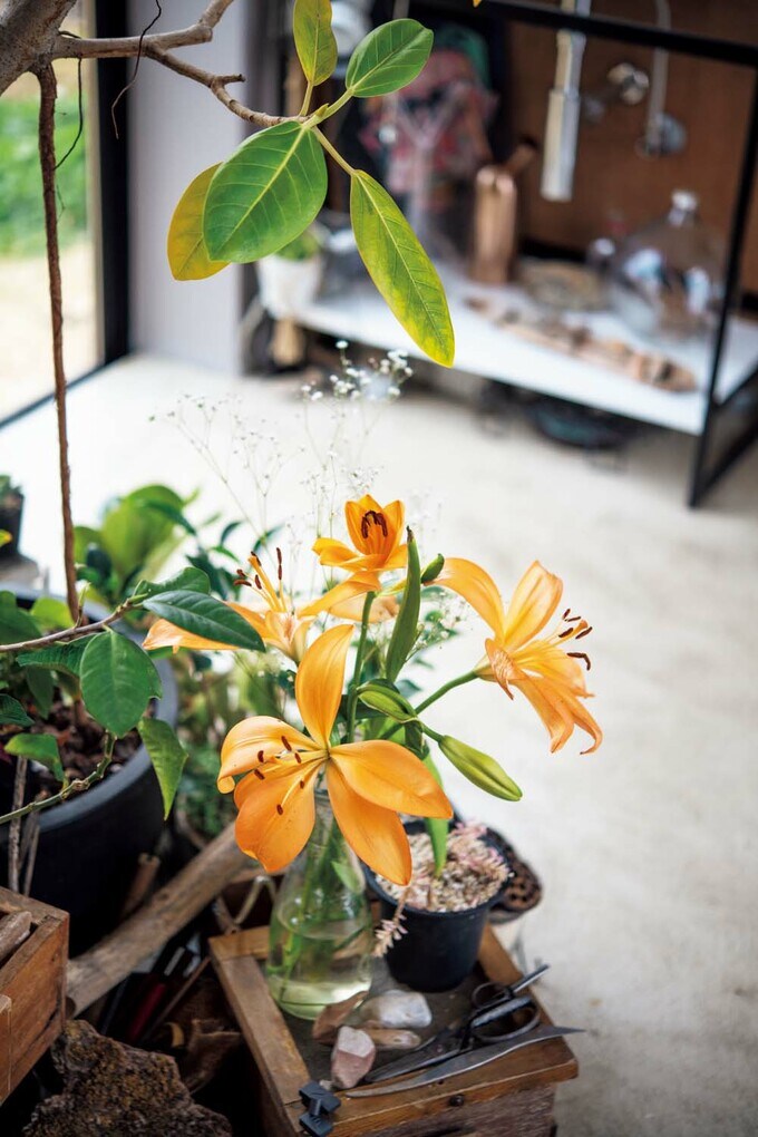 季節を感じさせる花々