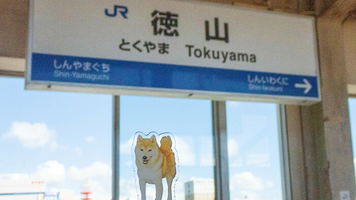 オーダー受付　お留守番わんこ　4/10 オーダー受付 お留守番わんこ 4/10 オーダー受付 お留守番わんこ 4/10