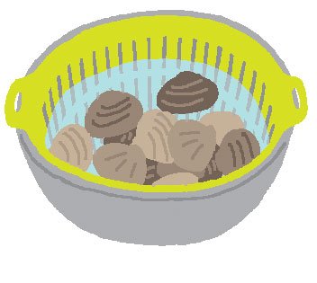 アサリの砂出し