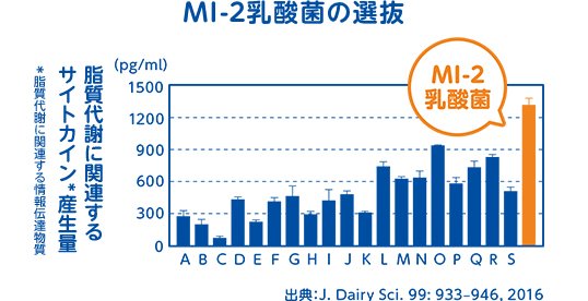 グラフ1