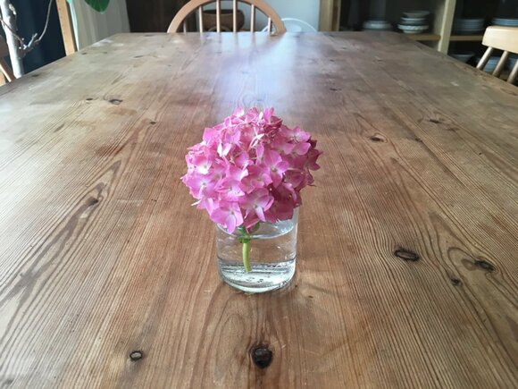 ちょうどビンの口にお花がぽん