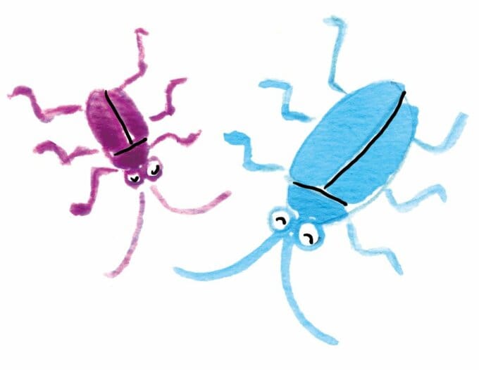 イラストゴキブリ