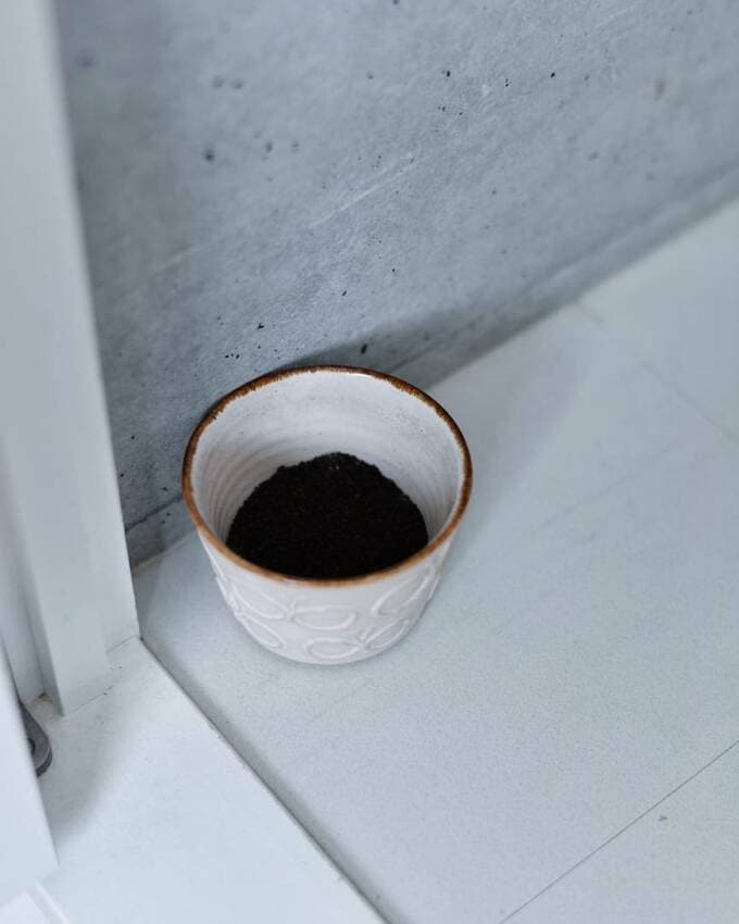 コーヒーのカスで代用