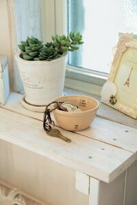 ミニボウルを玄関に置き、カギ入れに