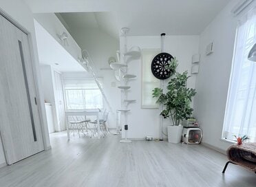 リビングの即捨てアイテム30。「片付かない家」のイメージを一掃して家族が笑顔に