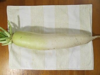 激売れ中の大きな大根