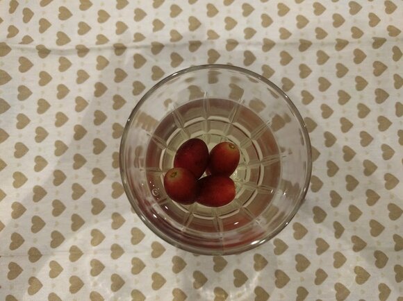 「フローズンフルーツ」