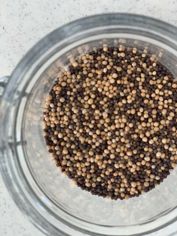 マスタードシード