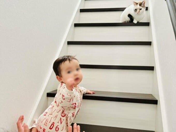 子どもが階段を上る様子