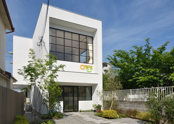 引っ越したオリーブの木