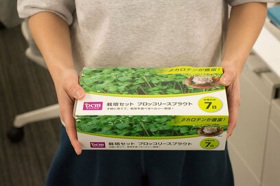 種をまいてから7日で簡単に収穫！親心も味わえちゃう家庭菜園セットを体験