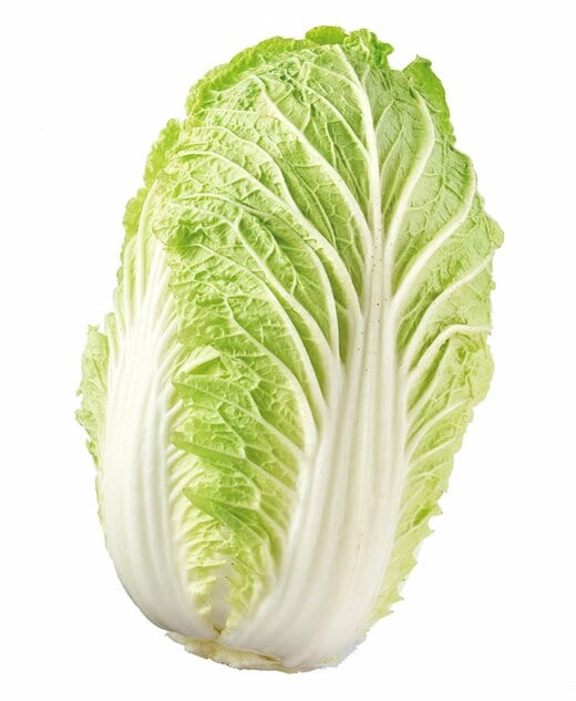 白菜