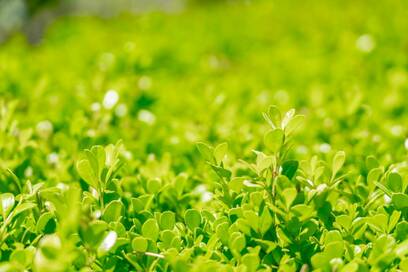 ゲッターズ飯田さんの教え、風の時代の生活習慣…2021年下半期開運記事まとめ