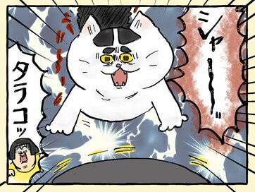 5匹の保護猫と暮らす漫画家・大盛のぞみさん。お掃除ロボを買ったところ…！？