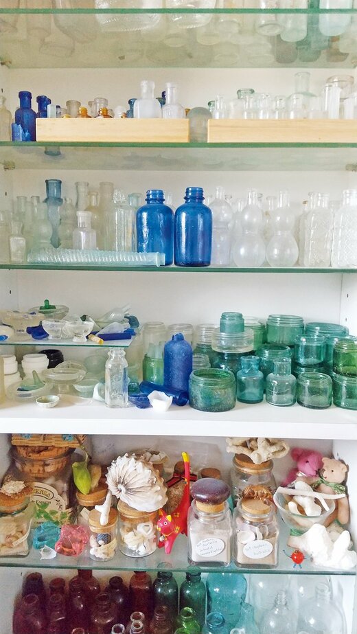棚に並んだ貝殻や小ビン