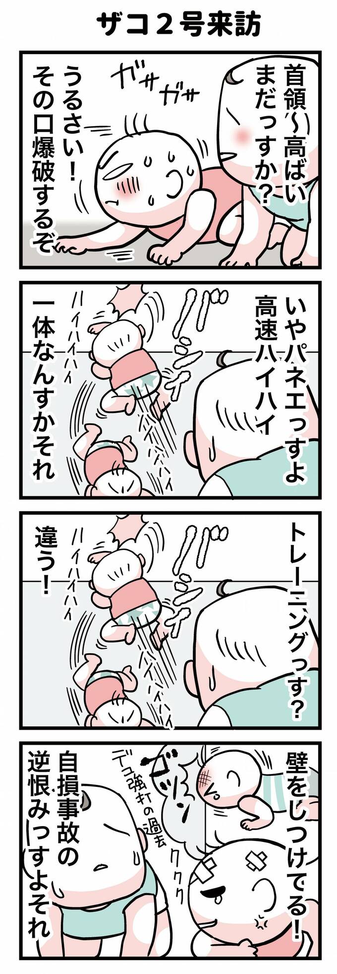 ザコ2号来訪