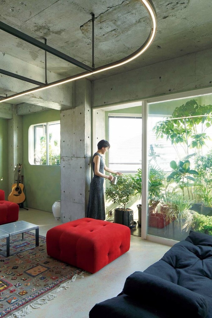 サンルームの植物に水やり