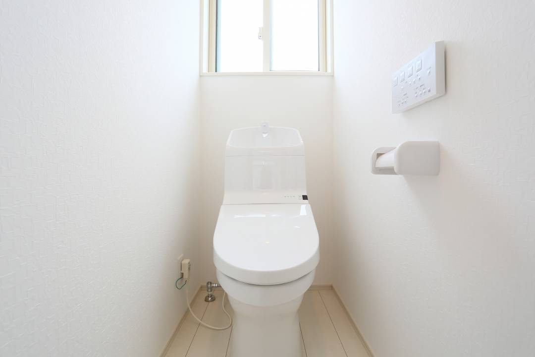 トイレを無意識に 大レバー で流す人は注意 水道代節約のコツ Esseonline エッセ オンライン