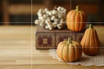 「写したいものを真ん中に」はダメ？写真をポストカードのみたいに撮るコツ