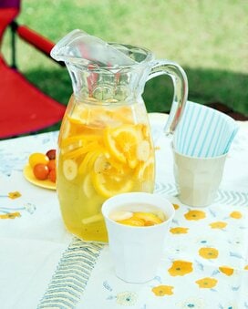 マリネで持ち込む!?アウトドアにぴったりのノンアルコールサングリア