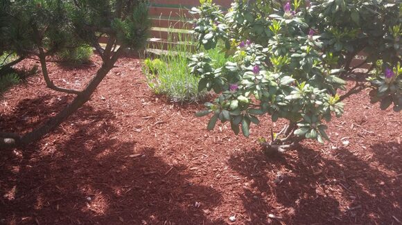 アメリカ流ガーデニング ウッドチップで夏の庭の草取りにサヨナラ Esseonline エッセ オンライン