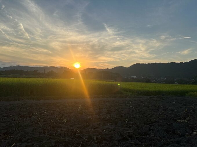 農家の朝