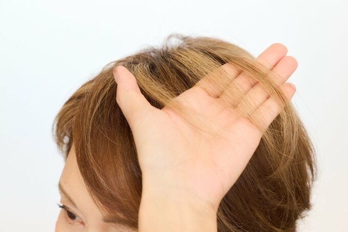 ハイライトの部分