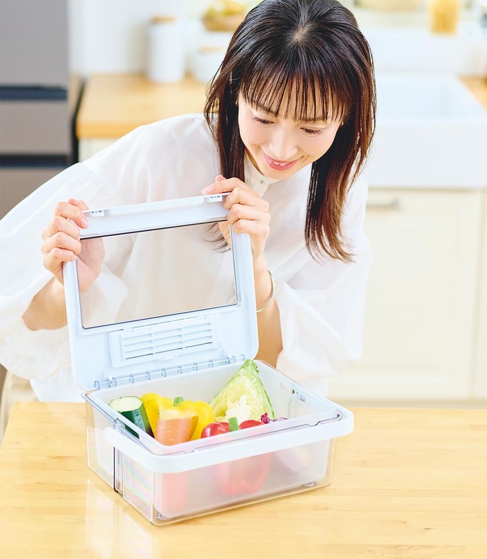 冷凍＆解凍が驚くほど進化！家事ラクがつまった理想の冷蔵庫が登場