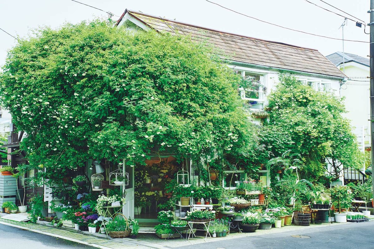 文筆家・大平一枝さんが見つけた、緑と白い花に包まれた植物専門店