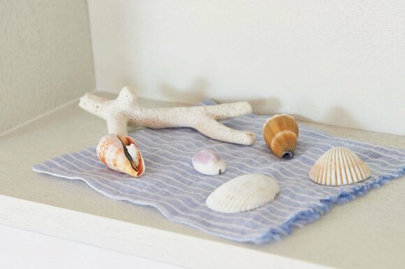 拾ってきた貝殻を置いて海のモチーフを楽しむ