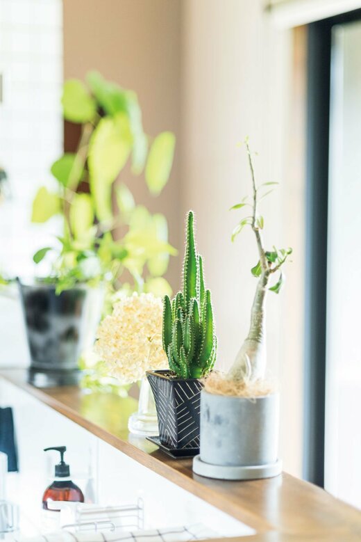 フェイクグリーン